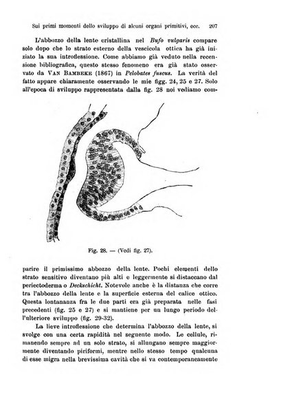 Archivio italiano di anatomia e di embriologia