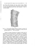 giornale/TO00176875/1917-1918/unico/00000247