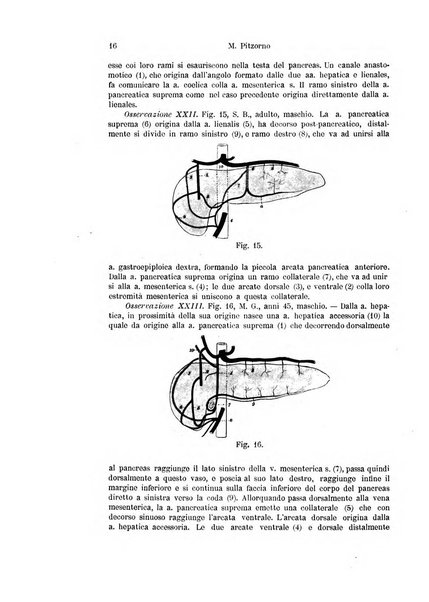 Archivio italiano di anatomia e di embriologia