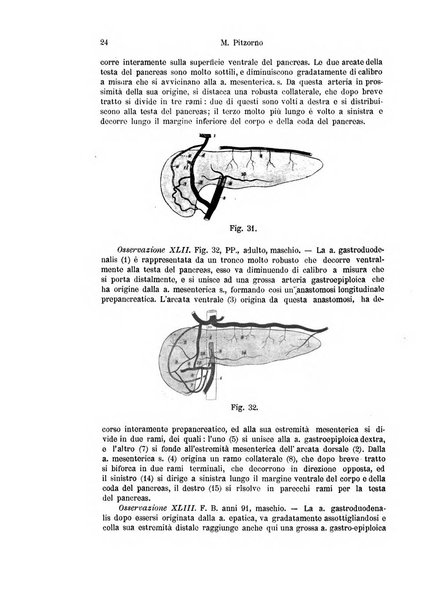 Archivio italiano di anatomia e di embriologia