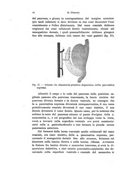 Archivio italiano di anatomia e di embriologia