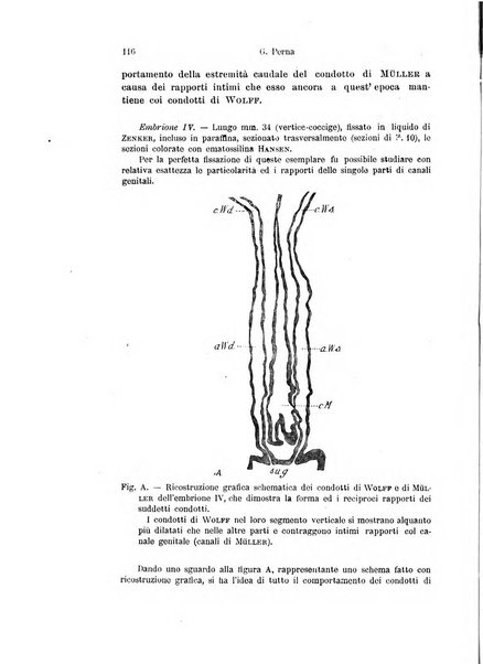 Archivio italiano di anatomia e di embriologia