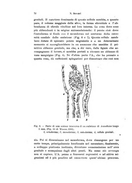 Archivio italiano di anatomia e di embriologia