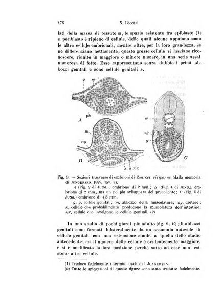 Archivio italiano di anatomia e di embriologia