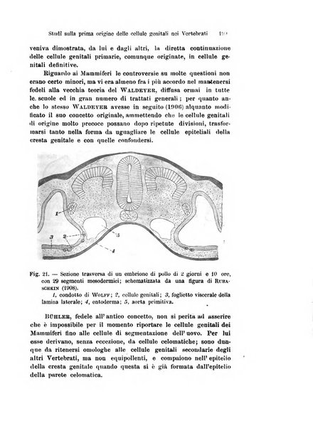 Archivio italiano di anatomia e di embriologia