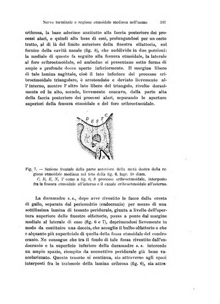 Archivio italiano di anatomia e di embriologia