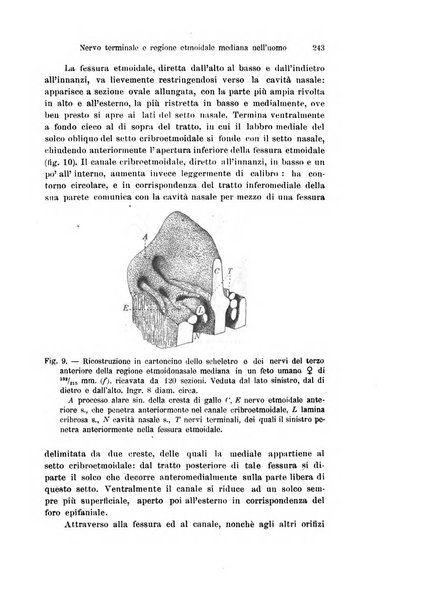 Archivio italiano di anatomia e di embriologia