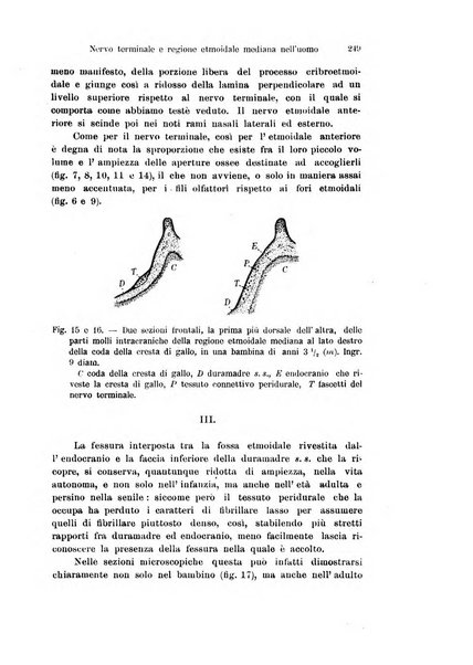 Archivio italiano di anatomia e di embriologia