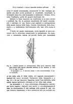 giornale/TO00176875/1919-1920/unico/00000269