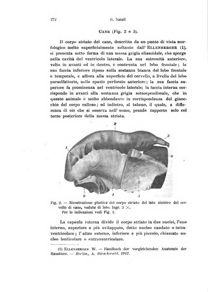 Archivio italiano di anatomia e di embriologia