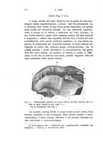 giornale/TO00176875/1919-1920/unico/00000290