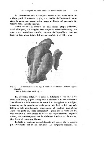 Archivio italiano di anatomia e di embriologia