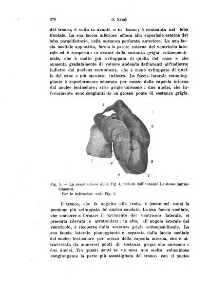 Archivio italiano di anatomia e di embriologia