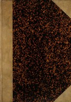 giornale/TO00176875/1919-1920/unico