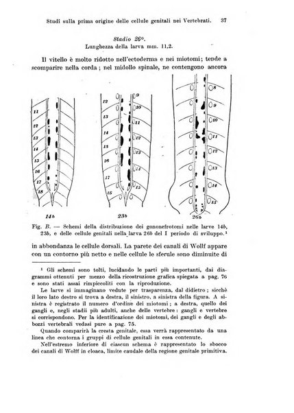 Archivio italiano di anatomia e di embriologia