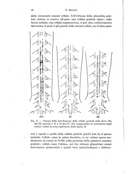 Archivio italiano di anatomia e di embriologia