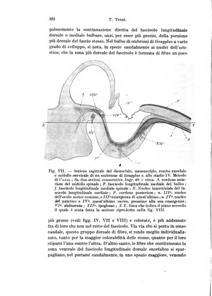 Archivio italiano di anatomia e di embriologia