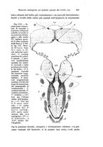 giornale/TO00176875/1922/V.19.1/00000261