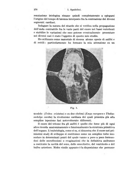 Archivio italiano di anatomia e di embriologia