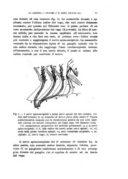 Archivio italiano di anatomia e di embriologia