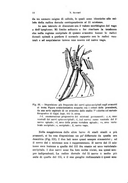 Archivio italiano di anatomia e di embriologia