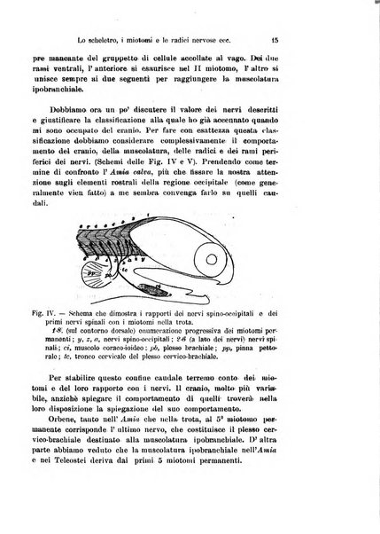 Archivio italiano di anatomia e di embriologia