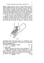 giornale/TO00176875/1922/V.19.2/00000049