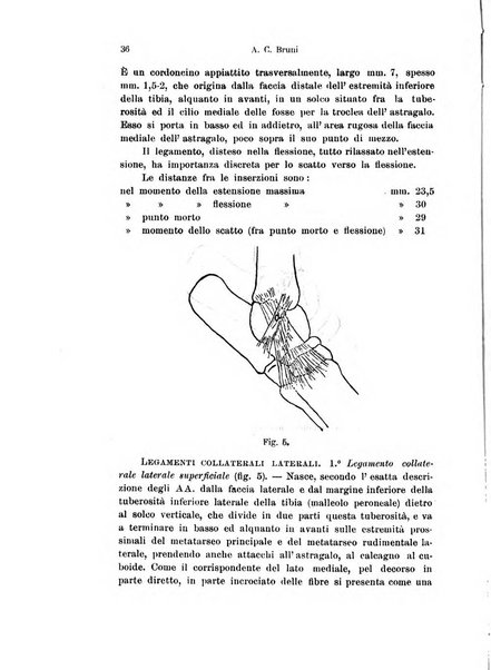 Archivio italiano di anatomia e di embriologia