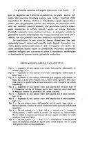 giornale/TO00176875/1922/V.19.2/00000117