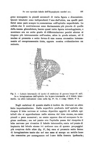 Archivio italiano di anatomia e di embriologia