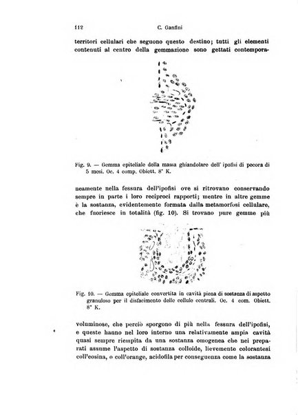 Archivio italiano di anatomia e di embriologia