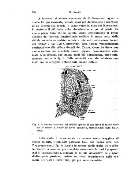 Archivio italiano di anatomia e di embriologia