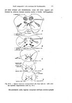 giornale/TO00176875/1922/V.19.2/00000199