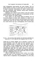 giornale/TO00176875/1922/V.19.2/00000205