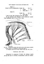 giornale/TO00176875/1922/V.19.2/00000219