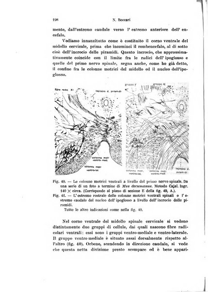 Archivio italiano di anatomia e di embriologia