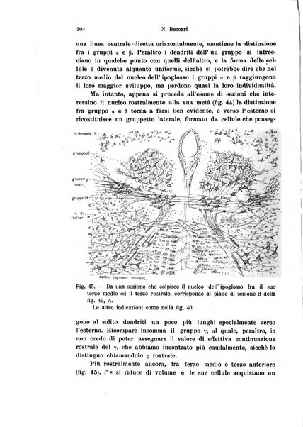 Archivio italiano di anatomia e di embriologia