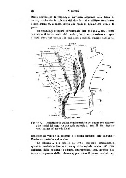 Archivio italiano di anatomia e di embriologia