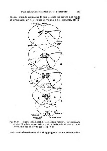 Archivio italiano di anatomia e di embriologia