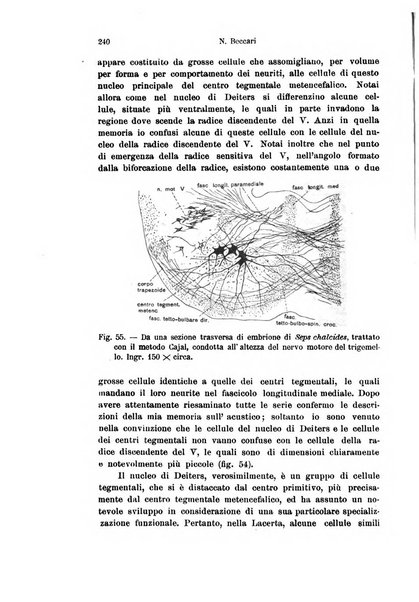 Archivio italiano di anatomia e di embriologia