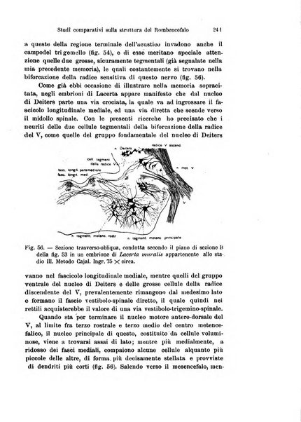 Archivio italiano di anatomia e di embriologia