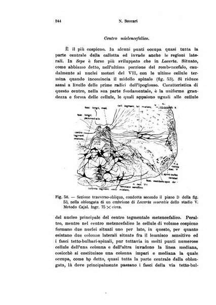 Archivio italiano di anatomia e di embriologia