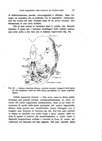 Archivio italiano di anatomia e di embriologia