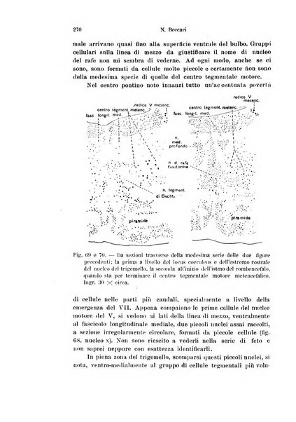 Archivio italiano di anatomia e di embriologia