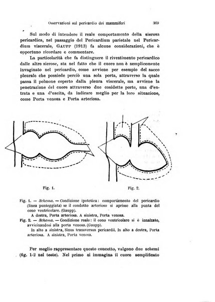 Archivio italiano di anatomia e di embriologia