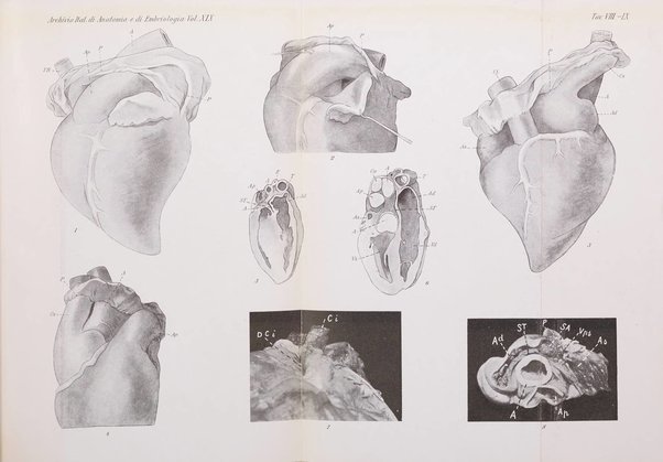 Archivio italiano di anatomia e di embriologia