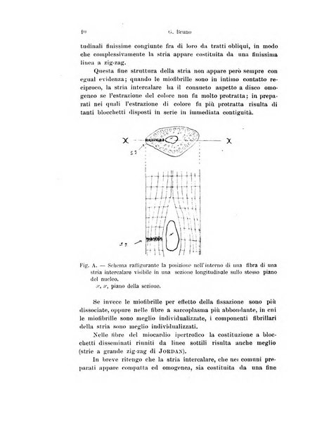 Archivio italiano di anatomia e di embriologia