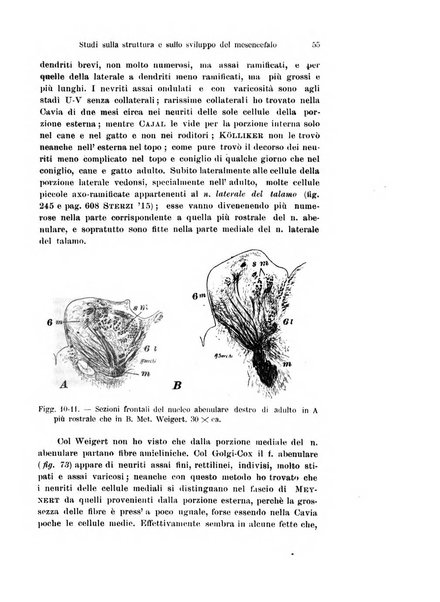 Archivio italiano di anatomia e di embriologia