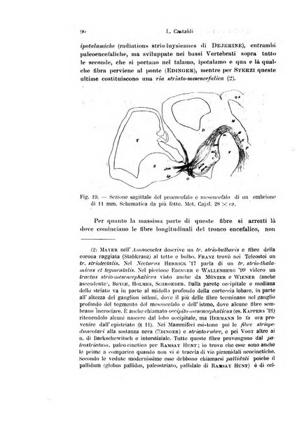 Archivio italiano di anatomia e di embriologia