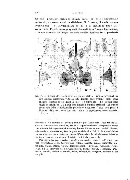 Archivio italiano di anatomia e di embriologia